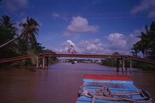 mekhong delta