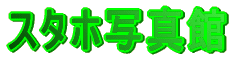 X^zʐ^