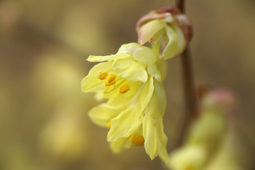 �g�T�~�Y�L