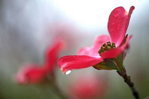 �n�i�~�Y�L