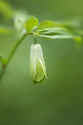 �z�E�`���N�\�E