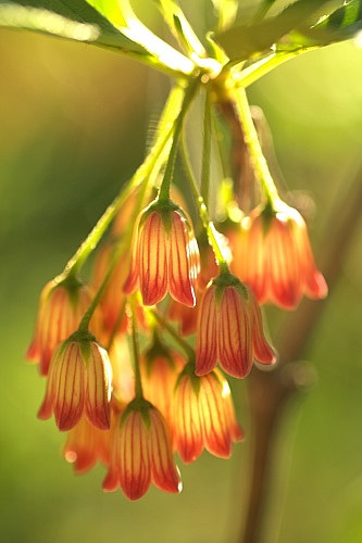 �T���T�h�E�_���c�c�W