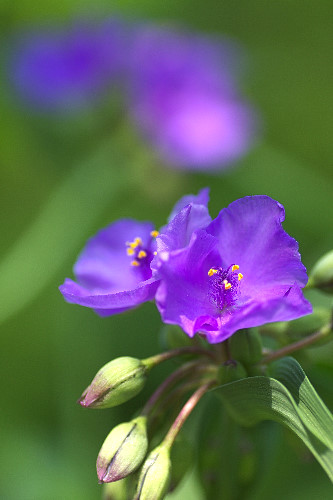 �����T�L�c���N�T