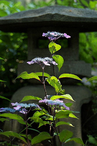 ���}�A�W�T�C