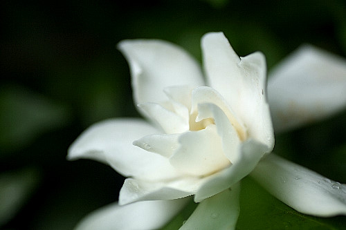 �R�N�`�i�V