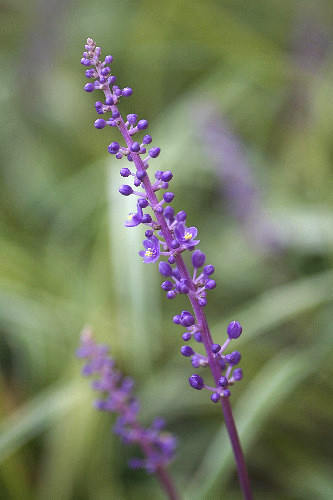 ���u����