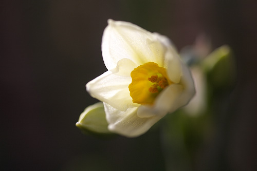 ���{����