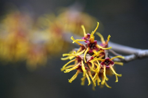 No.512�@�}���T�N