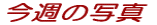 T̎ʐ^ 