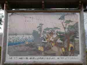 Gɕ`ꂽBE肪R