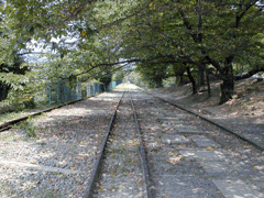 RCNC