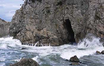sasagawanagare3