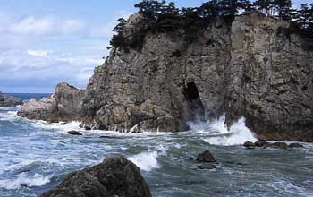 sasagawanagare4