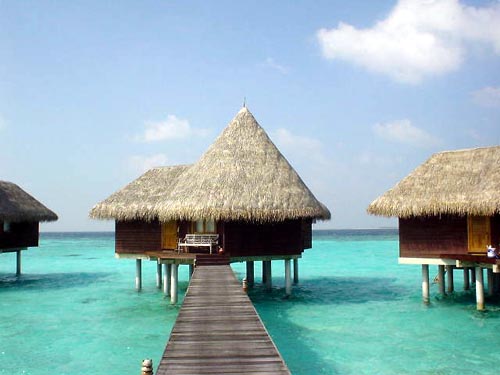 �R�R�p�[��