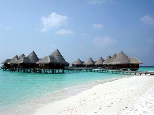 �R�R�p�[��