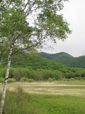 ホーム画像5