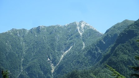 写真7