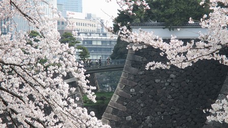 写真3