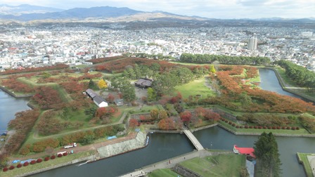 写真11