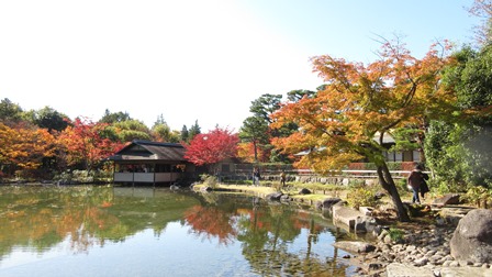 写真12