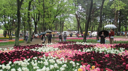 写真4
