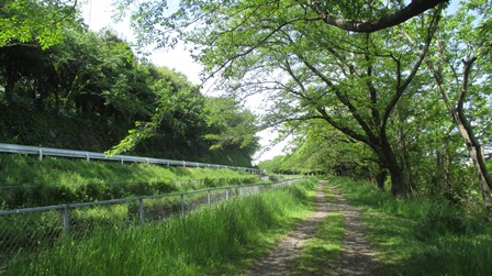 写真5