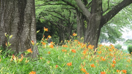 写真8