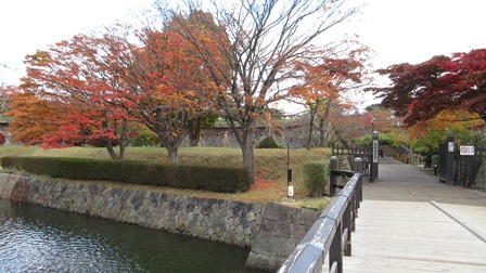 写真6