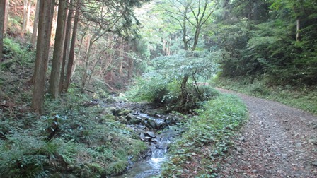 写真1