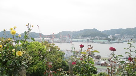 写真11