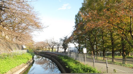 写真10