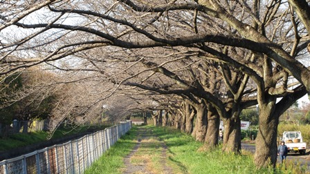 写真12