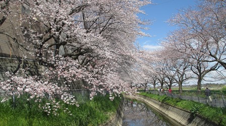 写真2