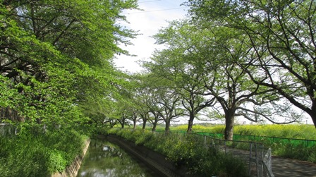 写真4