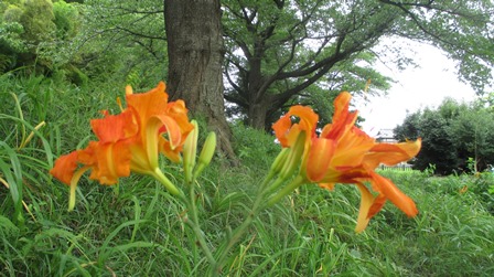 写真7