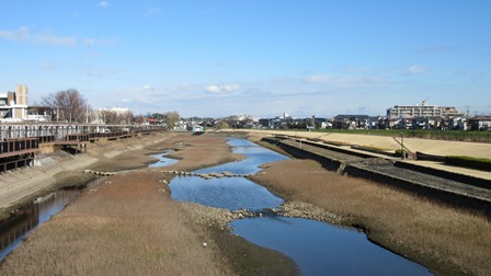 写真1