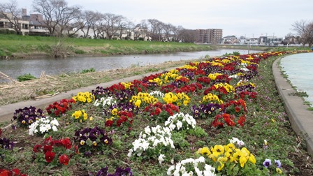 写真3