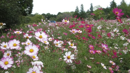 写真8
