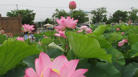 写真1