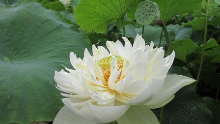 写真2