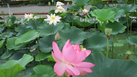 写真3