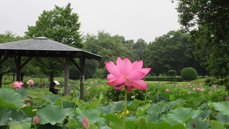 写真4