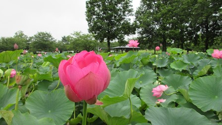 写真6