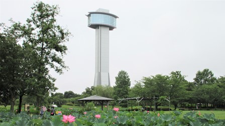 写真9