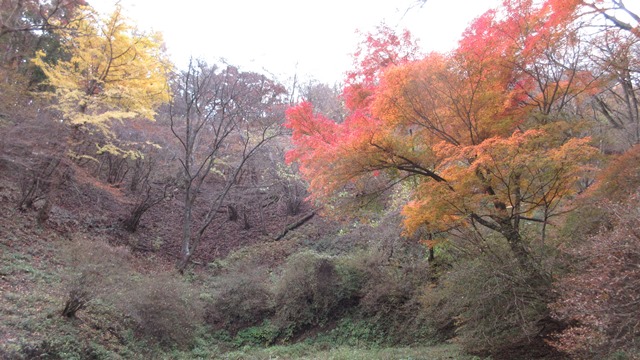 写真1