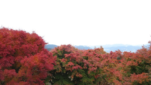 写真3