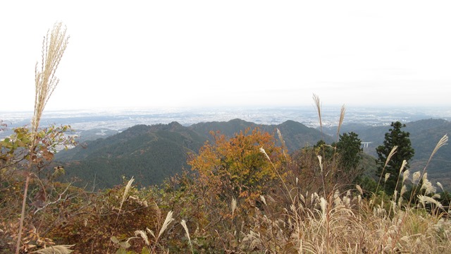 写真7