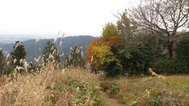 写真8