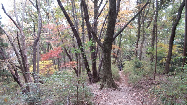 写真9