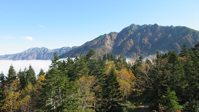 写真5